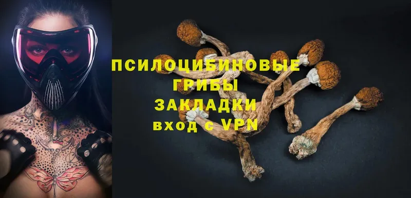 Псилоцибиновые грибы MAGIC MUSHROOMS  где можно купить наркотик  Змеиногорск 